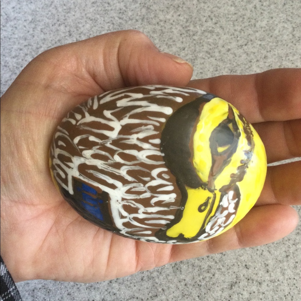 Hand Painted Rock - Duck